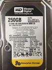 Wd2503abyx Western Digital Storage Drive