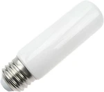 Newhouse Lighting T10-2320 Modern Led Bulb 2.3W (20W Equivalent) E26 Medium. Fixed Price $54.99.