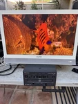 Pioneer DVD-V7400 Commercial Player Good Remote Pal/ntsc. Fixed Price $90.00.